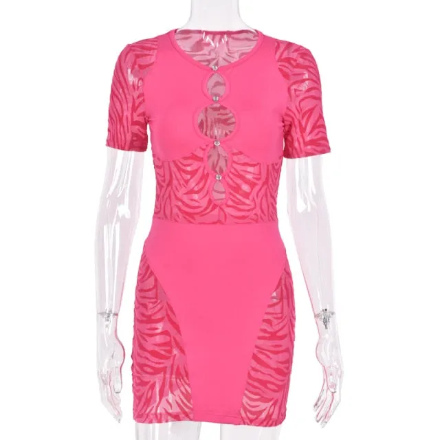 Sheer Zebra Print Mini Dress